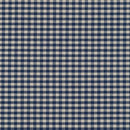 RK Crawford Gingham 14300D2-9 Navy - Cotton Fabric