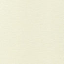 RK Flannel Solid - F019-1181 IVORY - Cotton Flannel Fabric