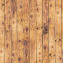 RK Imaginings 18913-309 Nature - Cotton Fabric