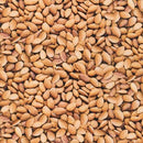 RK Imaginings Almonds 18917-236 - Cotton Fabric