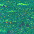 RK Painerly Petals, 19151-7 Green - Cotton Fabric