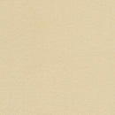 RK Radiance R044-1069 CHAMPAGNE - Cotton Silk Fabric