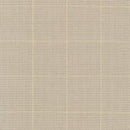 RK Shimmer On Yarn Dyed AJSM-17067-14 Natural - Cotton Metallic Fabric