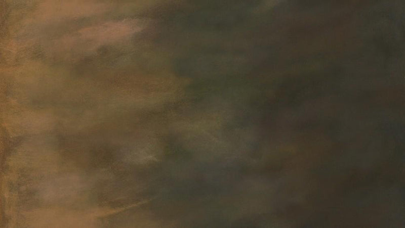 RK Sky 21047-454 BISON - Ombre Cotton Fabric