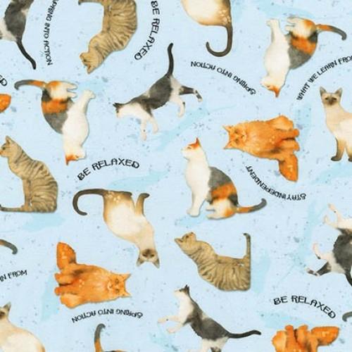 RK Whiskers & Tails AWH-17019-4 - Cotton Fabric