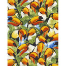 TT Birds C5339-TOUCAN - Cotton Fabric