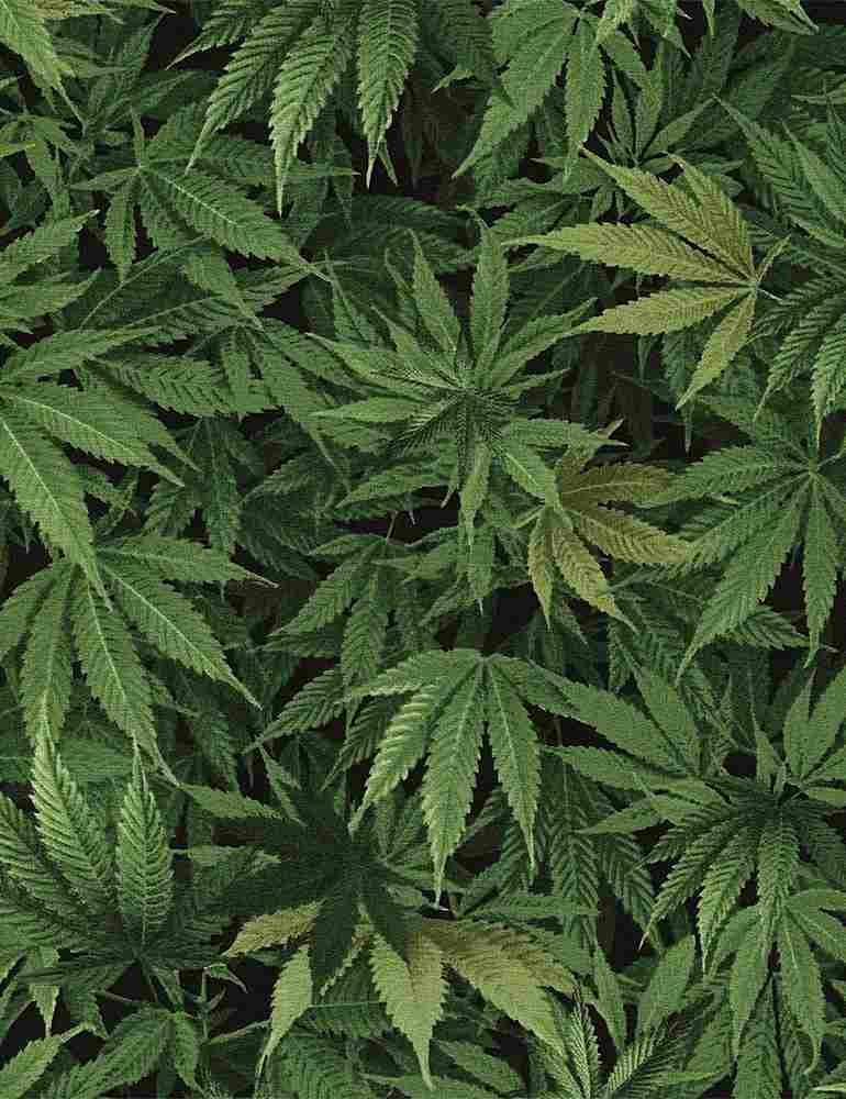 TT Cannabis Leaf - C3819-GREEN - Cotton Fabric