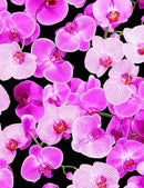 TT Garden Bouquet C1196-BLACK - Cotton Fabric