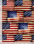 TT Packed Flags USA-C8360-MULTI - Cotton Fabric