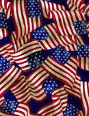 TT Packed USA Flags USA-C8321-MULTI - Cotton Fabric