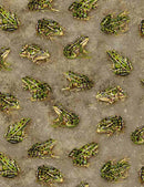 TT Realistic Frogs GM-C1177-GREY - Cotton Fabric