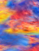 TT Sunflower Sunset C1136-MULTI - Cotton Fabric