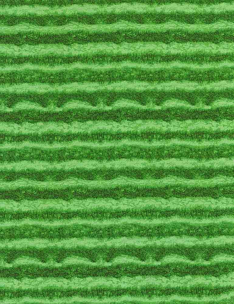 TT Watermelon Skin FRUIT-C1138-GREEN - Cotton Fabric