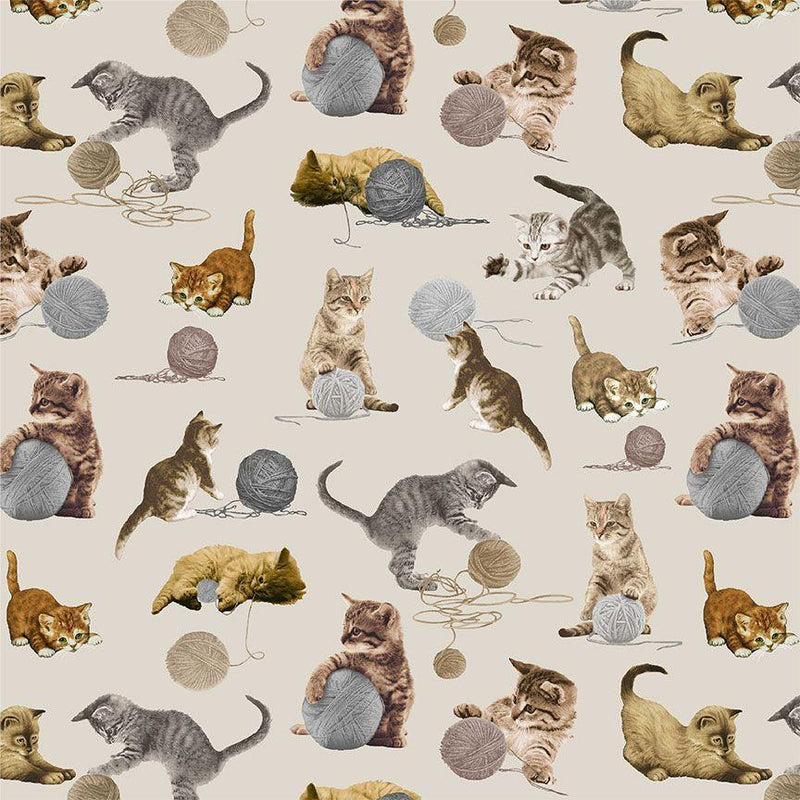 TT You Had Me at Meow CD2062-TAUPE - Cotton Fabric