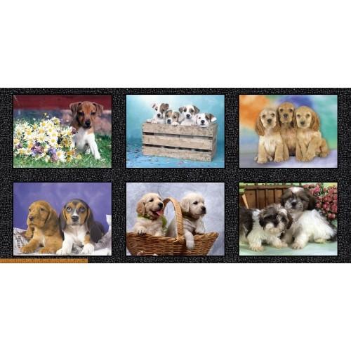 WHM Somebody To Love 50965DP-X - Cotton Fabric