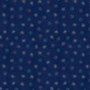 WP Blissful - 27649-434 Navy - Cotton Fabric